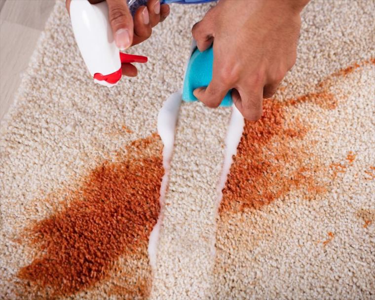 Treating a stain on a carpet by hand